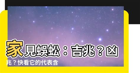 家裡看到蜈蚣|【看到蜈蚣代表什麼】家見蜈蚣：吉兆？凶兆？快看它。